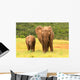 Mother And Baby African Wall Decal