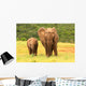 Mother And Baby African Wall Decal