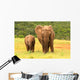 Mother And Baby African Wall Decal