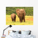 Mother And Baby African Wall Decal