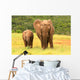 Mother And Baby African Wall Decal