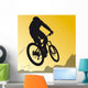 Sports Velo 8 Wall Decal