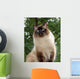 Proud Ragdoll Wall Decal
