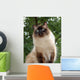 Proud Ragdoll Wall Decal
