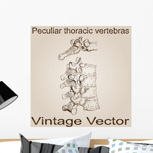 Vector Vintage Anatomy Sketch Wall Decal