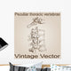 Vector Vintage Anatomy Sketch Wall Decal