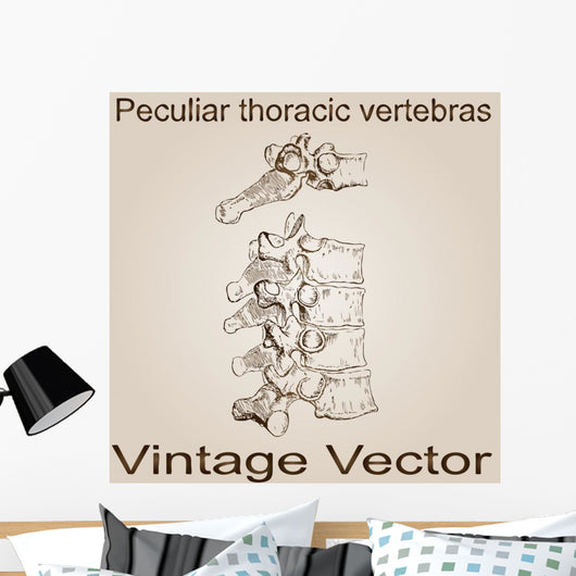 Vector Vintage Anatomy Sketch Wall Decal