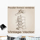 Vector Vintage Anatomy Sketch Wall Decal