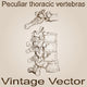 Vector Vintage Anatomy Sketch Wall Decal