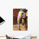 Elephant India Jaipur State Wall Decal