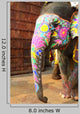 Elephant India Jaipur State Wall Decal