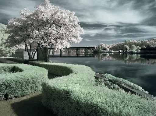 Garden River With Boat Wall Decal