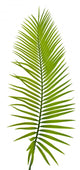 Palme Verte Wall Decal