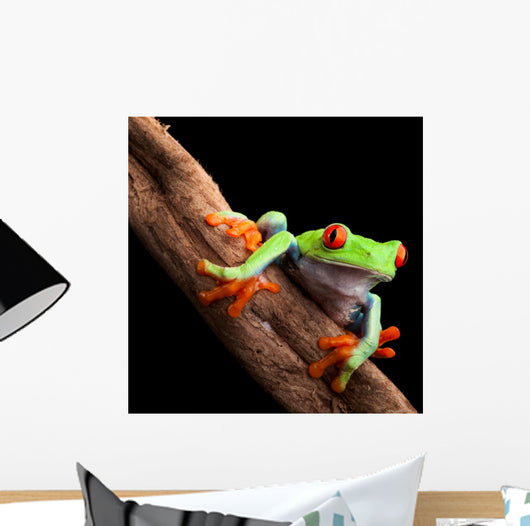 Perched Red-Eyed Tree Frog Wall Decal