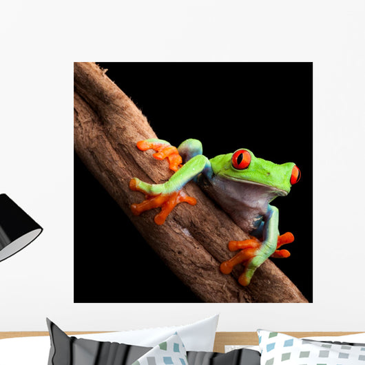 Perched Red-Eyed Tree Frog Wall Decal