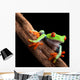 Perched Red-Eyed Tree Frog Wall Decal