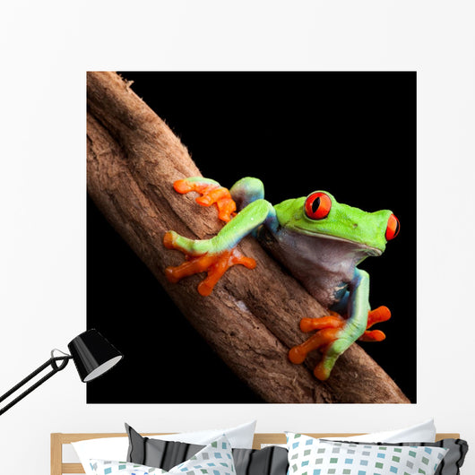 Perched Red-Eyed Tree Frog Wall Decal