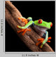 Perched Red-Eyed Tree Frog Wall Decal