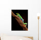 Red-Eyed Tree Frog Climbing a Branch Wall Decal