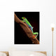 Red-Eyed Tree Frog Climbing a Branch Wall Decal