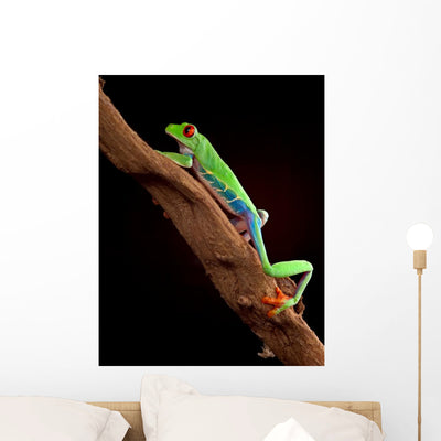 Red-Eyed Tree Frog Climbing a Branch Wall Decal shown on a wall
