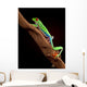 Red-Eyed Tree Frog Climbing a Branch Wall Decal