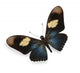 Dark Blue And Black Wall Decal