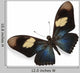 Dark Blue And Black Wall Decal