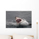 Attack Great White Shark Wall Decal
