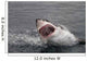 Attack Great White Shark Wall Decal
