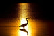 Heron Sunlight Wall Decal