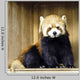 Red Panda Lesser Panda Wall Decal