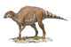 Dicraeosaurus Dinosaur White Wall Decal