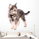 Wolfhound Puppy Standing With Stick Wall Decal