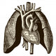 Coeur Poumons Wall Decal
