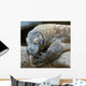 Komodo Dragon Wall Decal