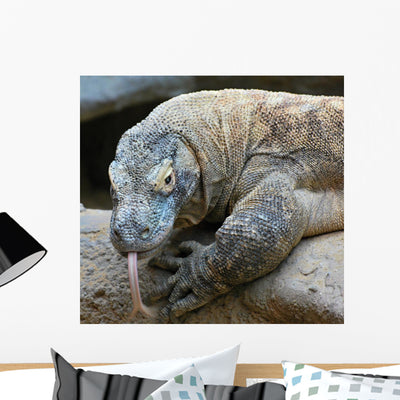 Komodo Dragon Wall Decal shown on a wall