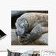 Komodo Dragon Wall Decal