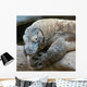 Komodo Dragon Wall Decal