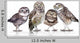 Guckst Du Wall Decal
