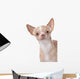 Chihuahua Wall Decal