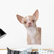 Chihuahua Wall Decal