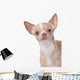 Chihuahua Wall Decal