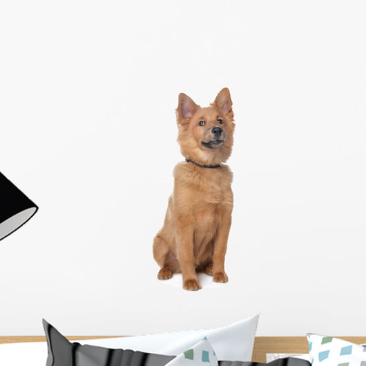 Mixed Breed Dog Wall Decal