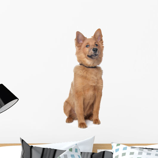 Mixed Breed Dog Wall Decal