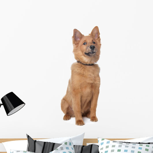 Mixed Breed Dog Wall Decal