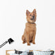 Mixed Breed Dog Wall Decal
