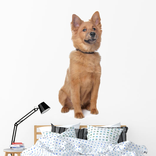 Mixed Breed Dog Wall Decal