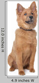 Mixed Breed Dog Wall Decal