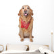 Golden Retriever Wearing a Red Bandana Wall Decal